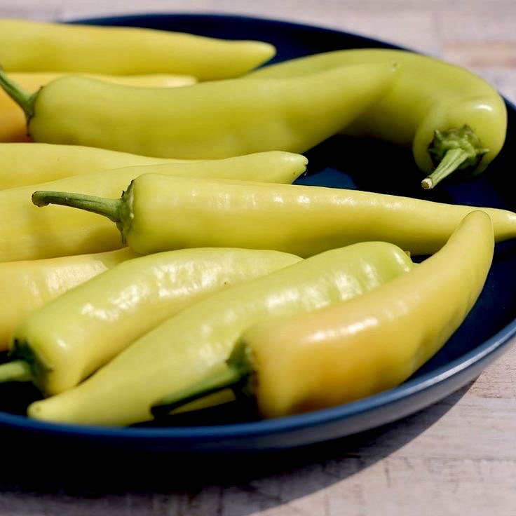 Yercaud Bajji Chilli