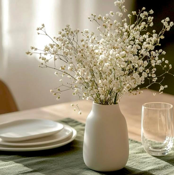 White Gypsophila