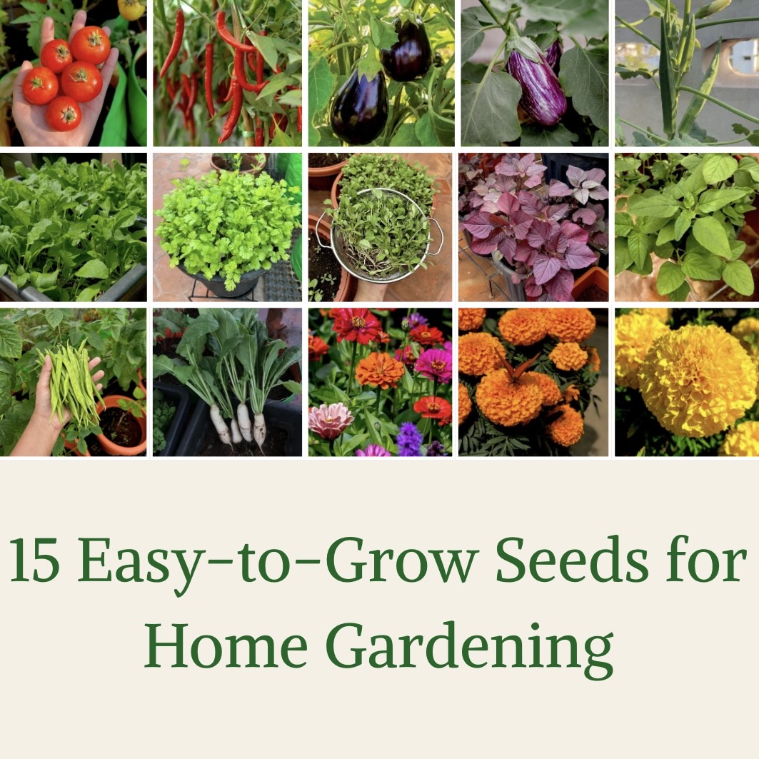 Beginner Gardeners Combo