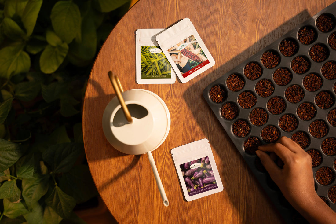 How to Start Seeds at Home🌱