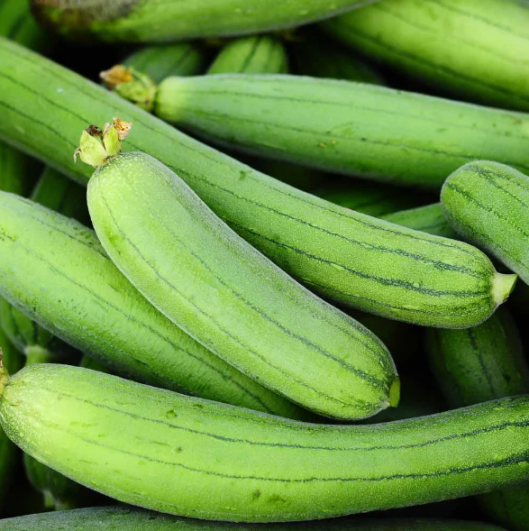 Sponge Gourd