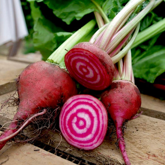 Candy Cane Beetroot