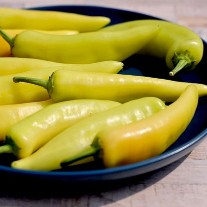 Yercaud Bajji Chilli