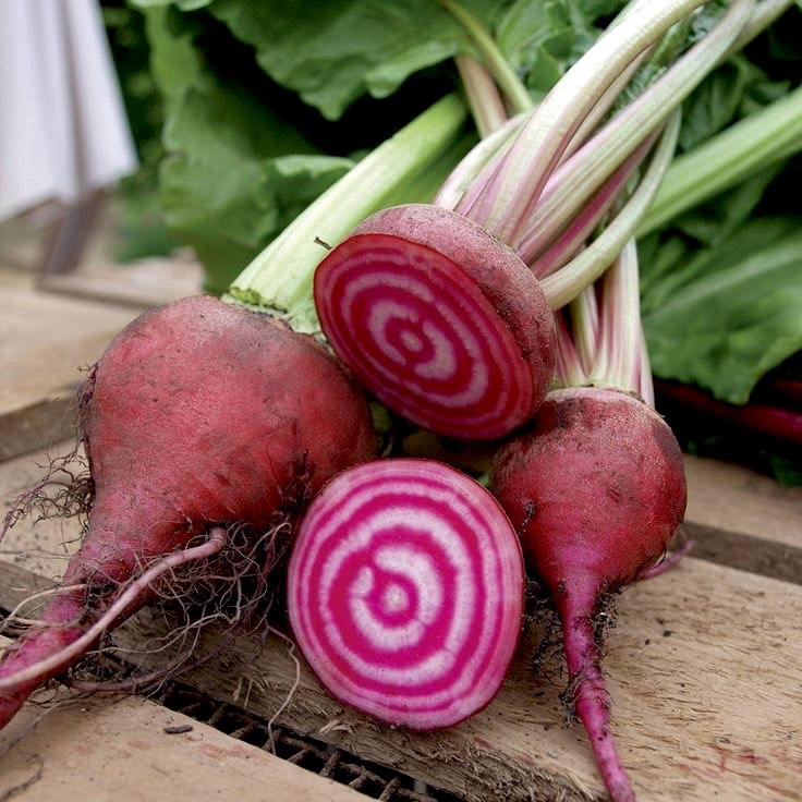 Candy Cane Beetroot