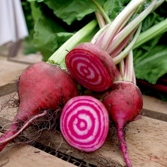 Candy Cane Beetroot