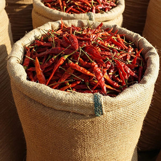 Guntur Sannam Chilli