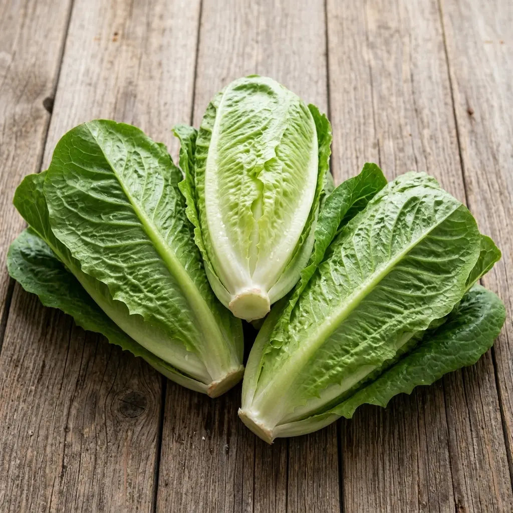 Lettuce Romaine